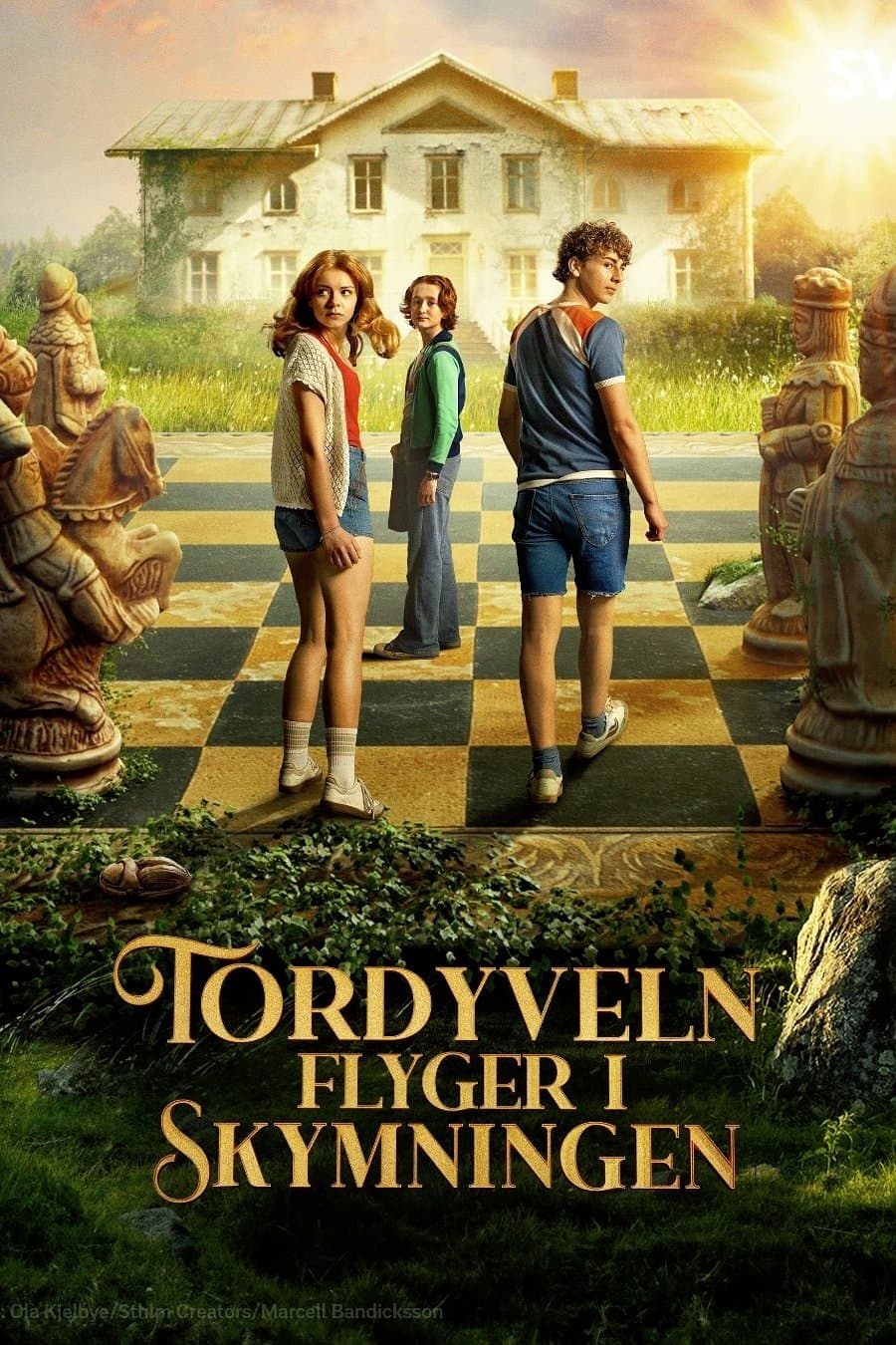 Tordyveln flyger i skymningen