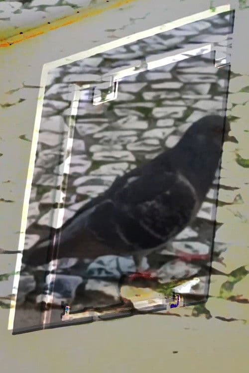 não tenho dormido muito mas continuo sonhando a cada piscada