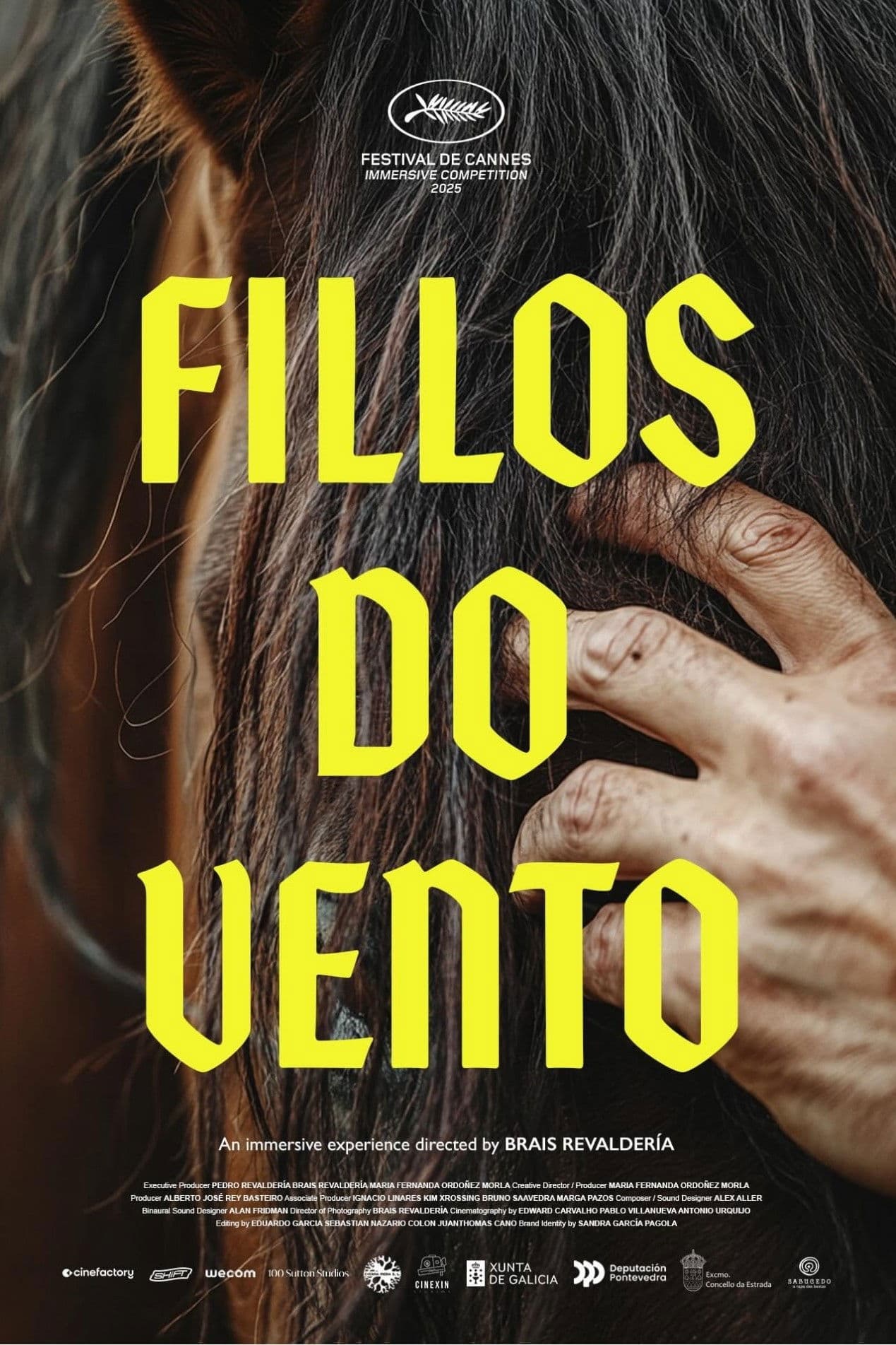 Children of the Wind