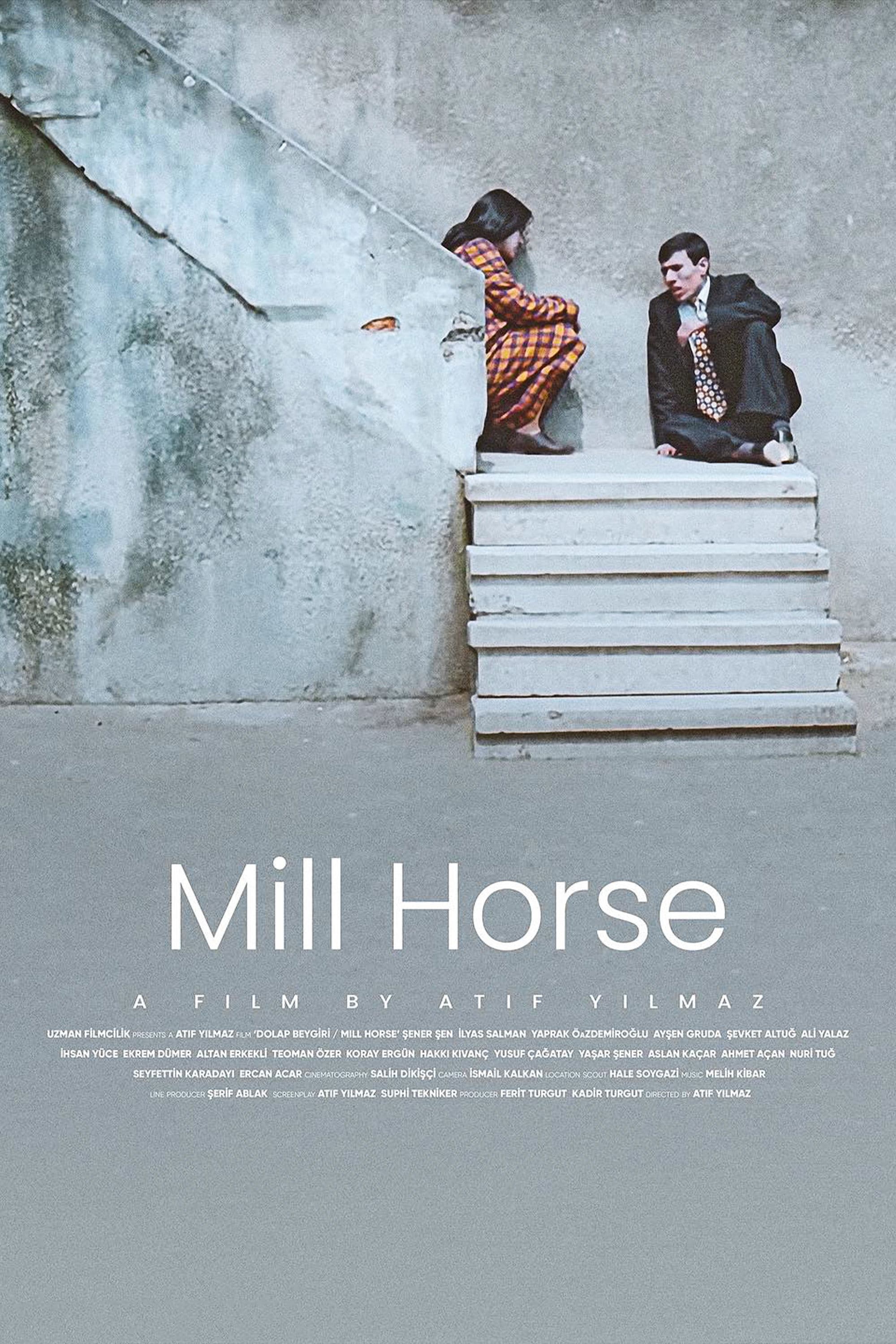 Mill Horse
