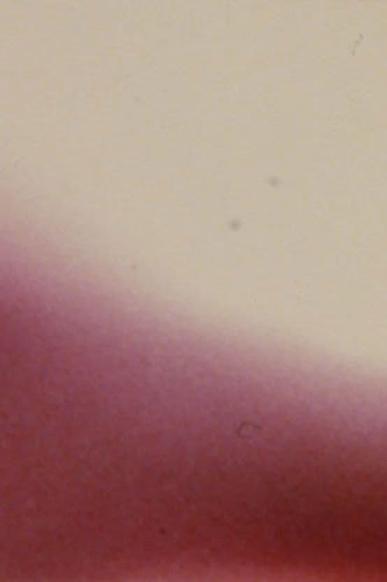 Arabic Numeral Series 17