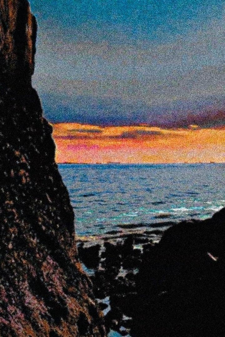 Where the Color and Sun Meet Together