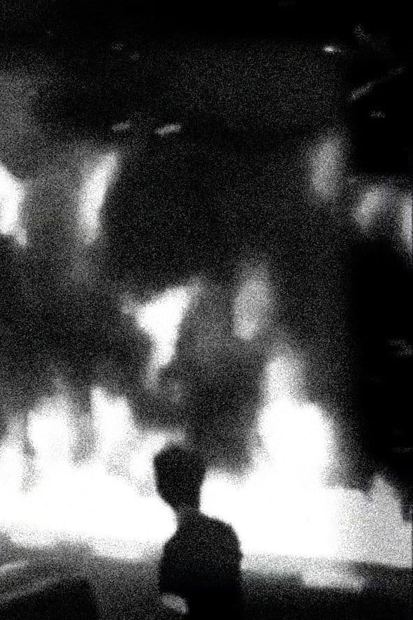 The World is Burning