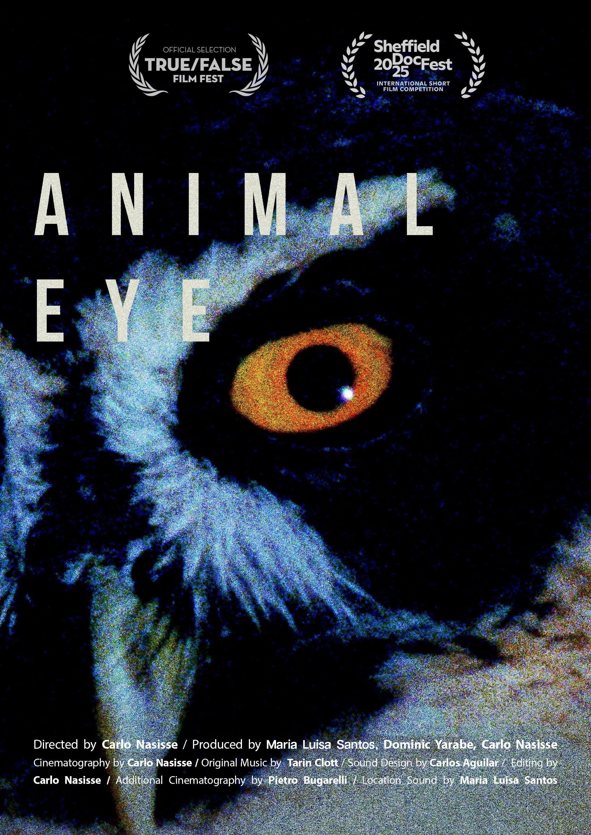 Animal Eye