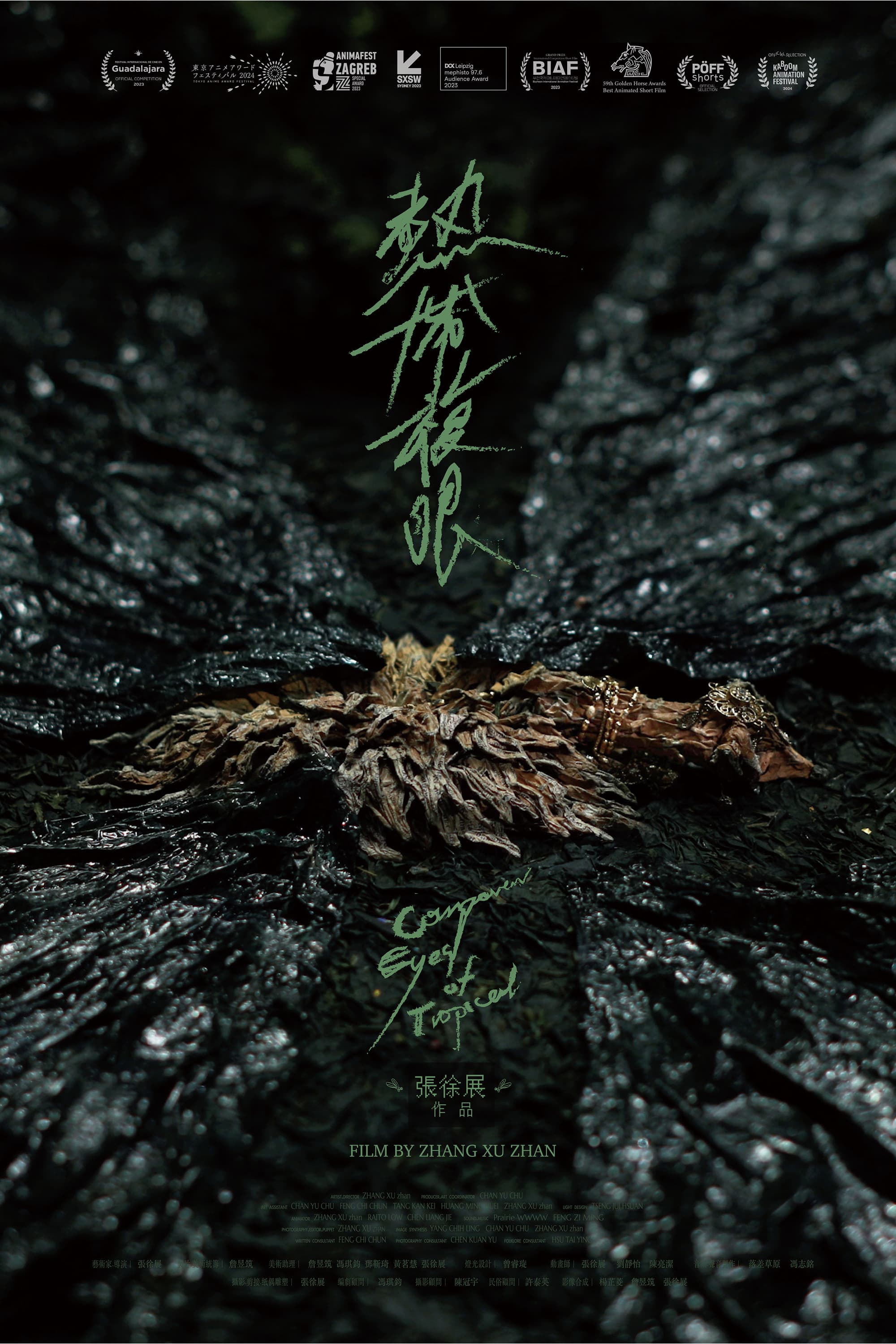 Compound Eyes of Tropical