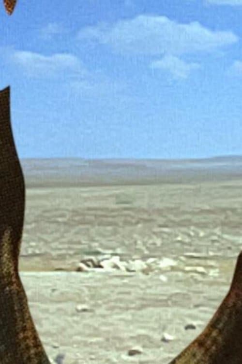 At All Hours and None