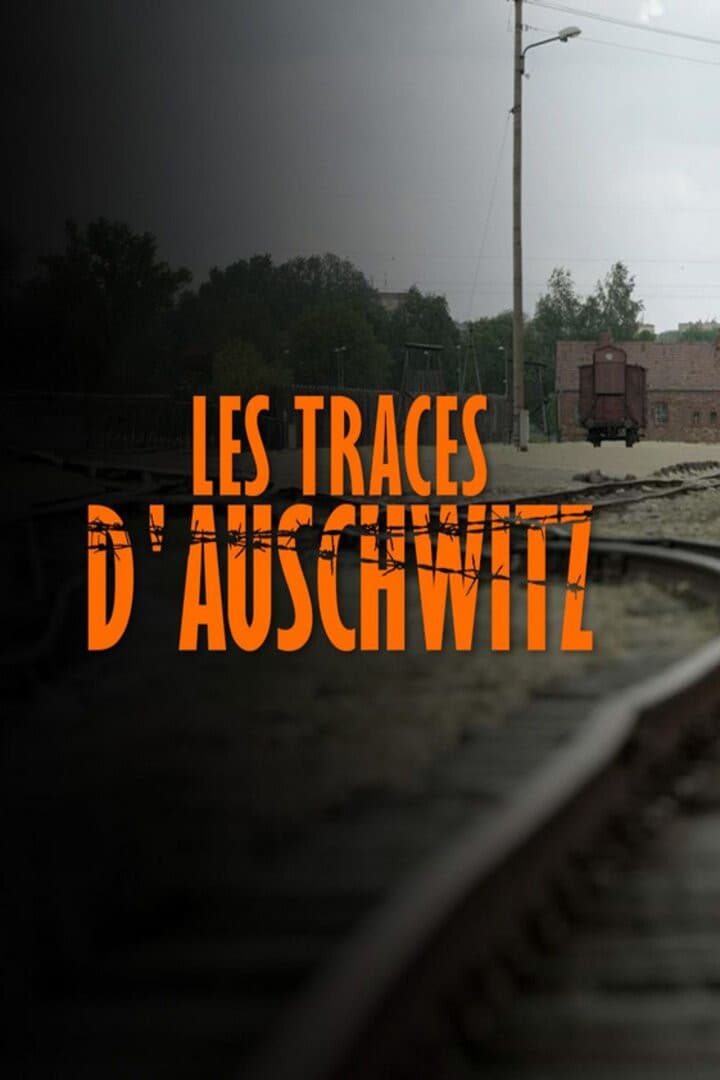 Les Traces D'Auschwitz (2021)