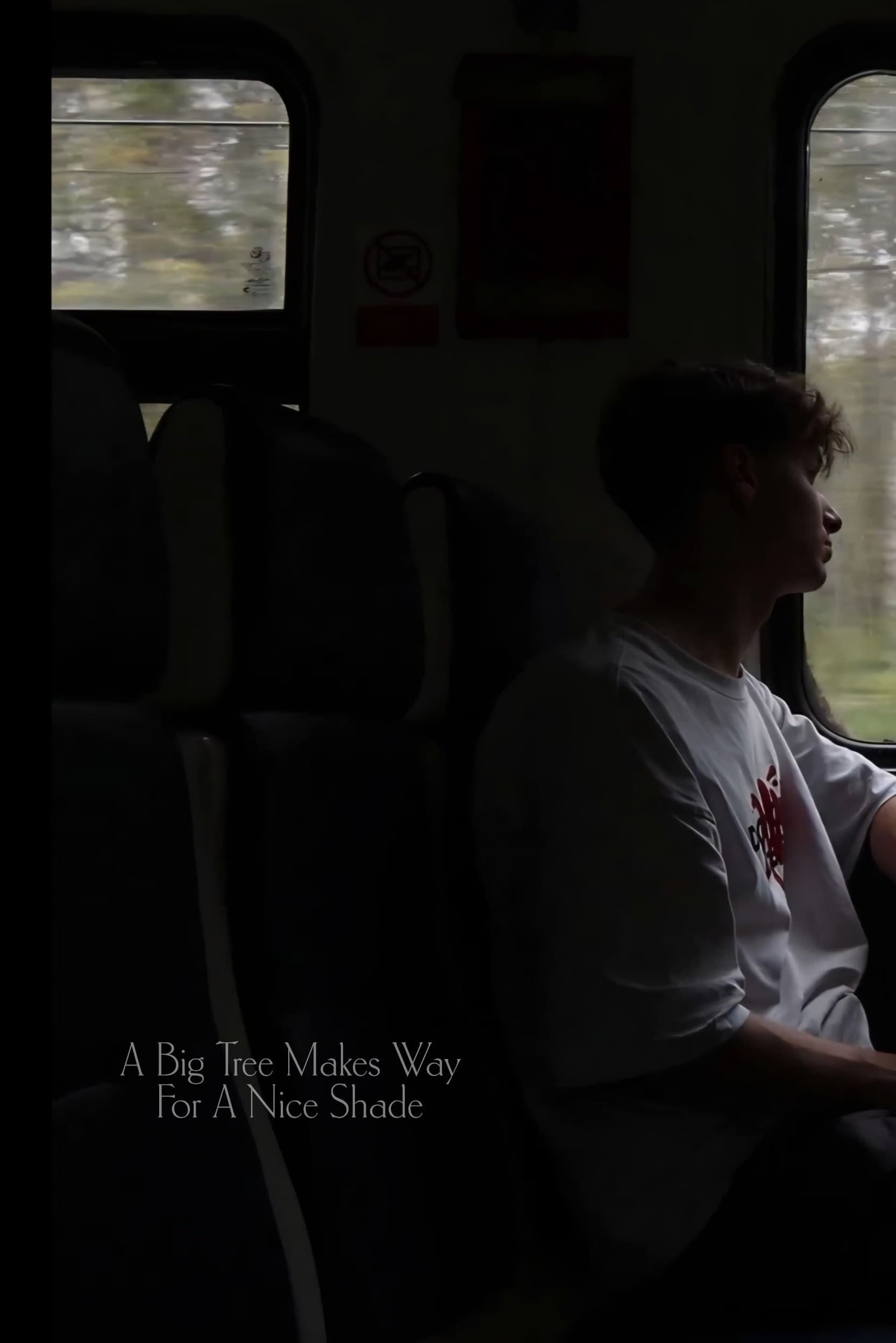 A Big Tree Makes Way For A Nice Shade