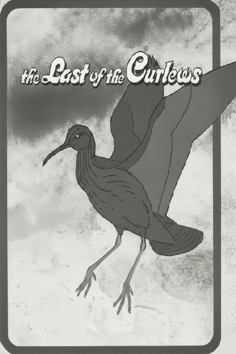 The Last of the Curlews
