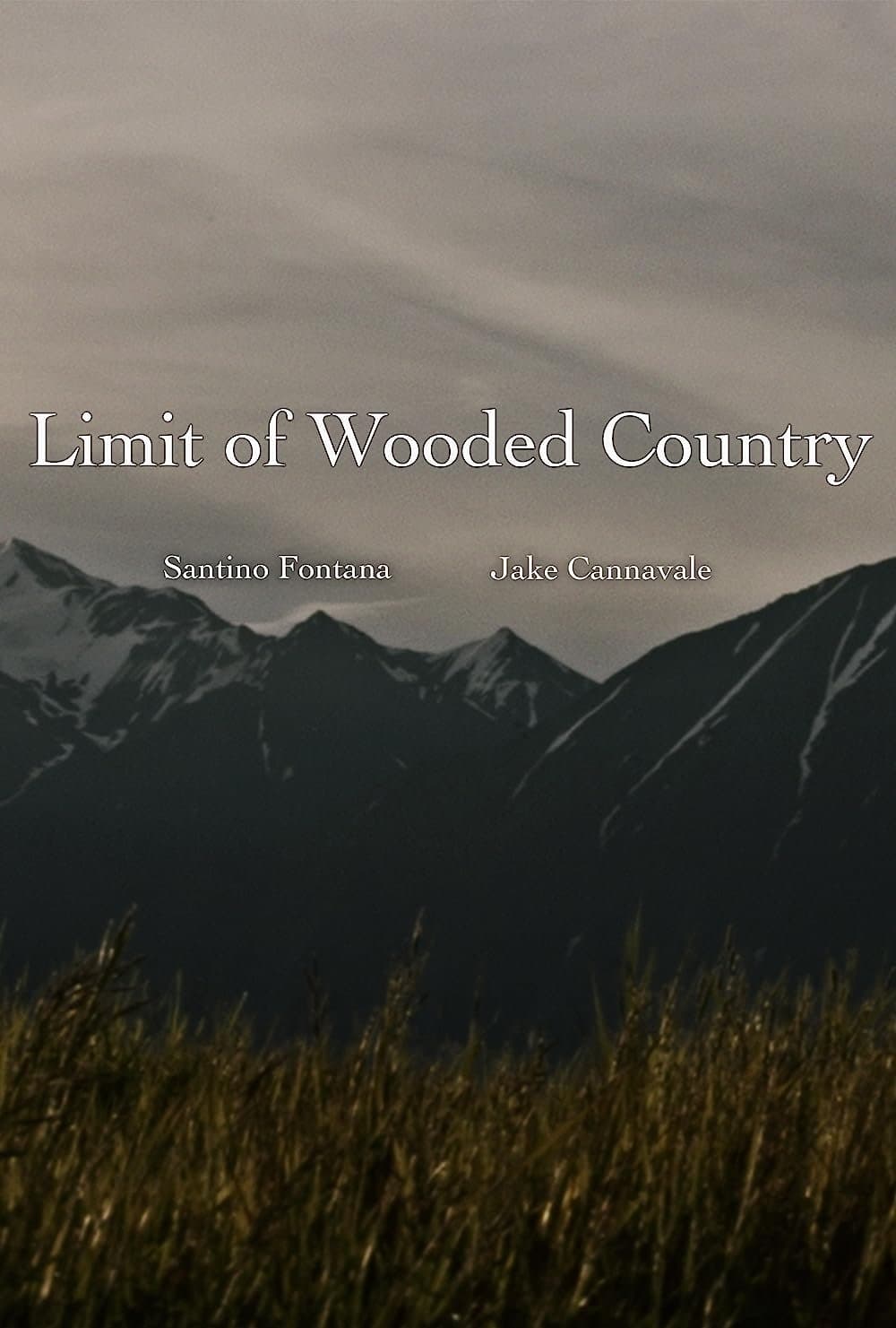 Limit of Wooded Country