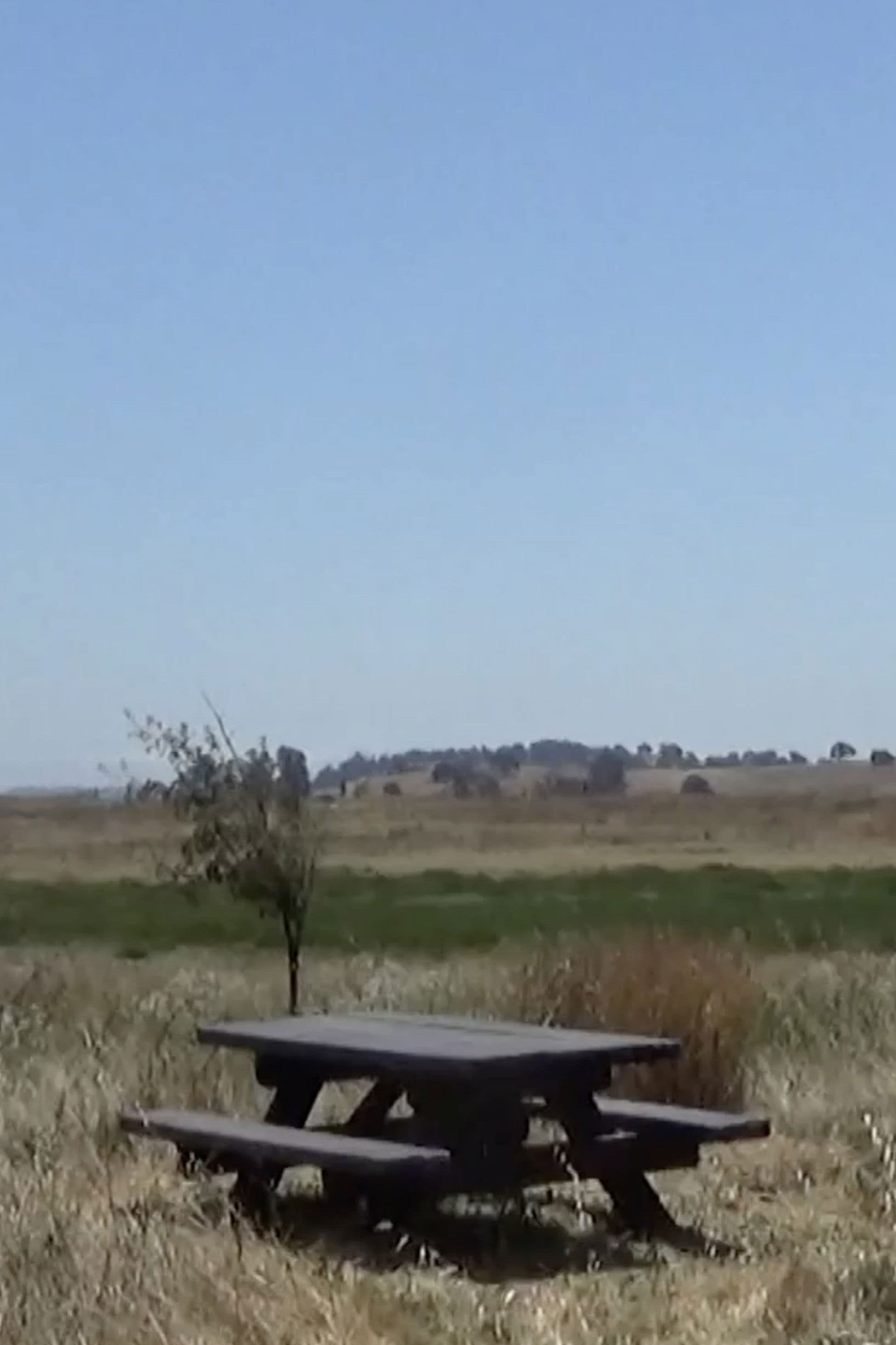 Ballad of a Wannabe Writer