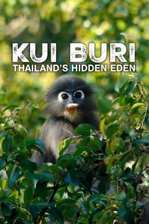 Kui Buri: Thailand's Hidden Eden