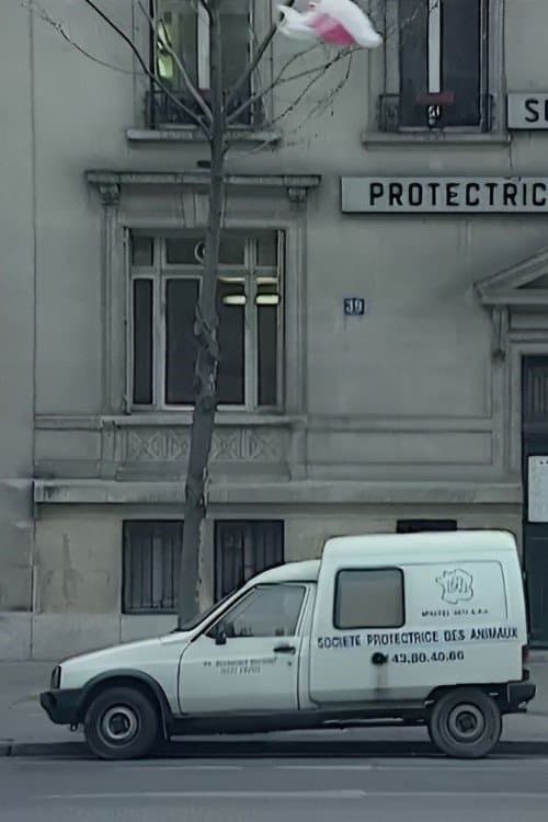 Nous sommes tous des cafards