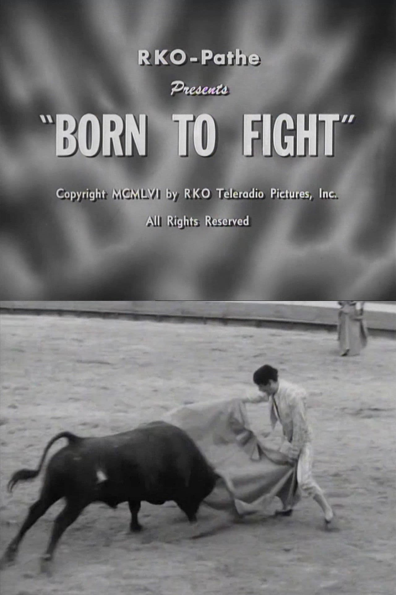 Born to Fight