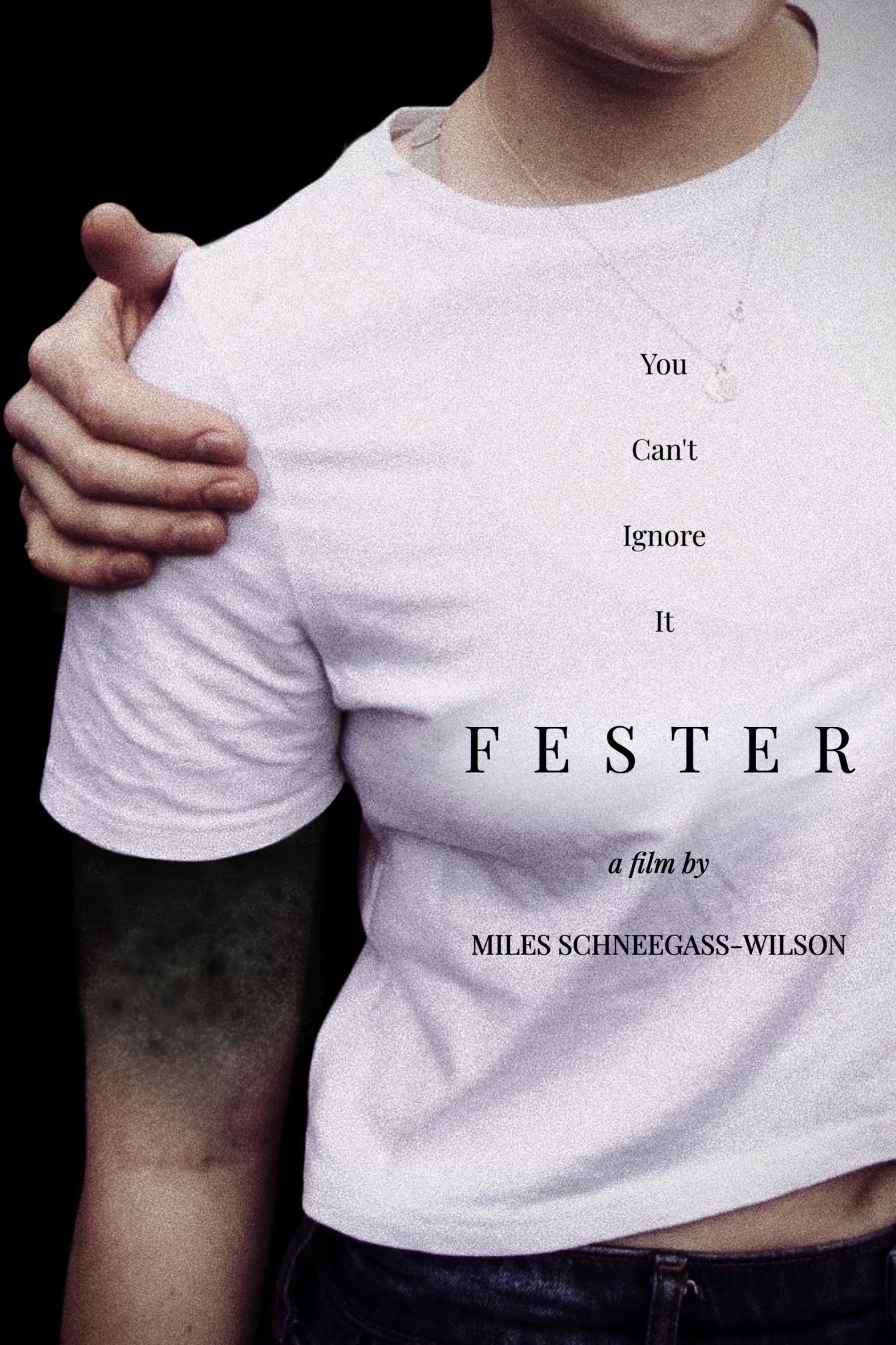 Fester