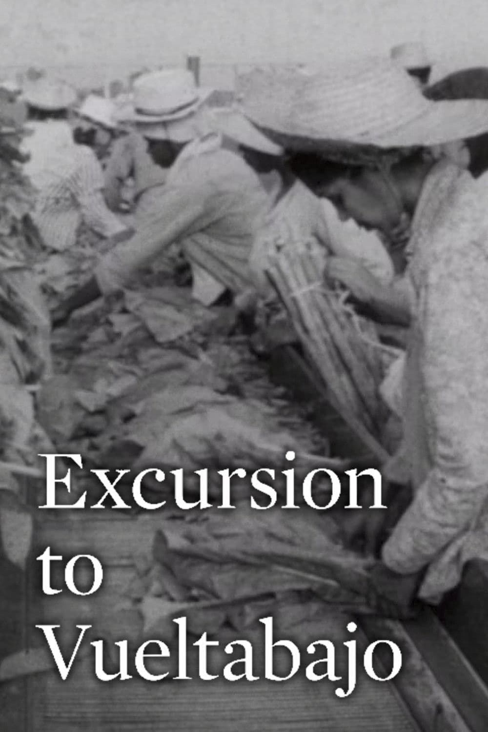 Excursion to Vueltabajo