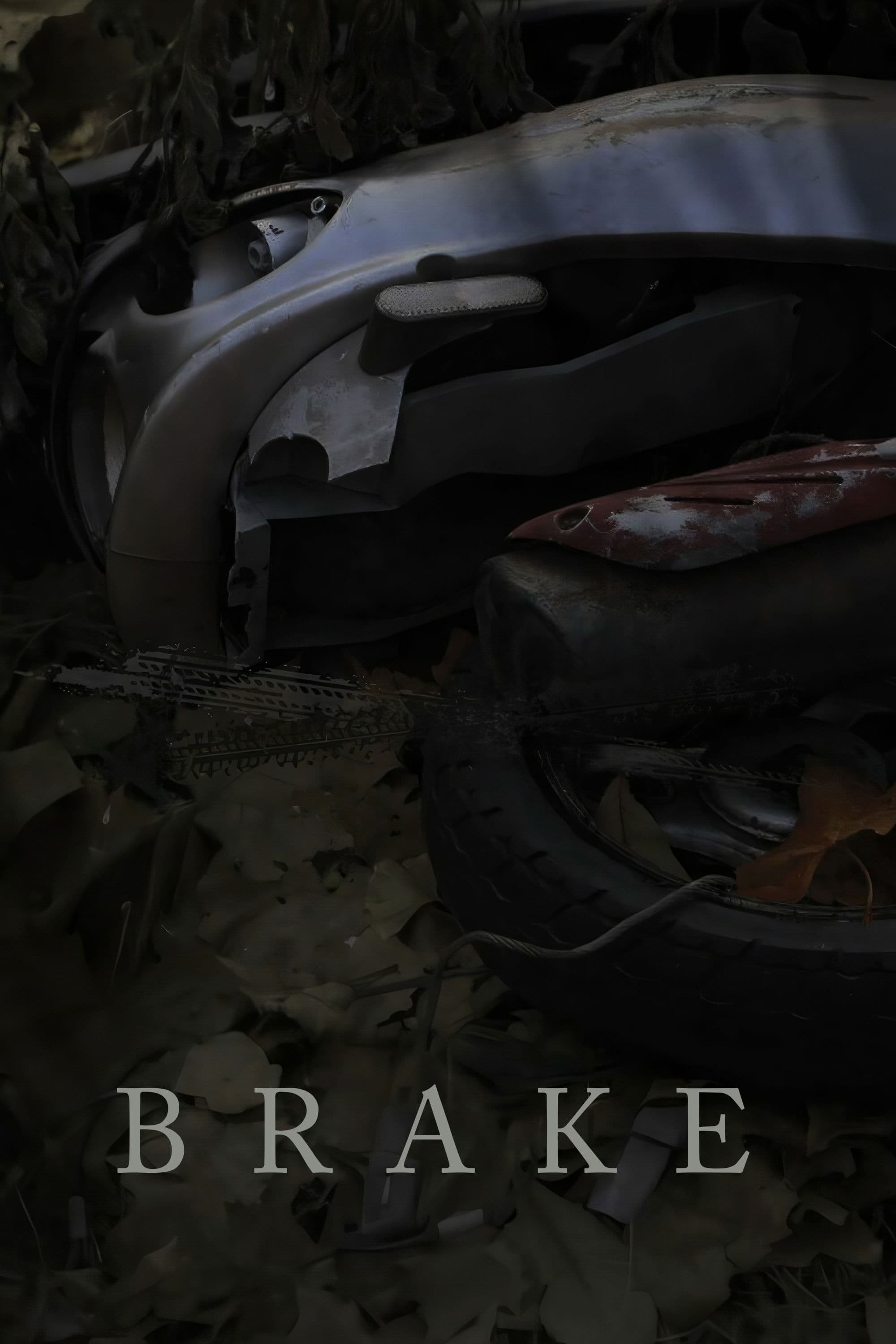 Brake