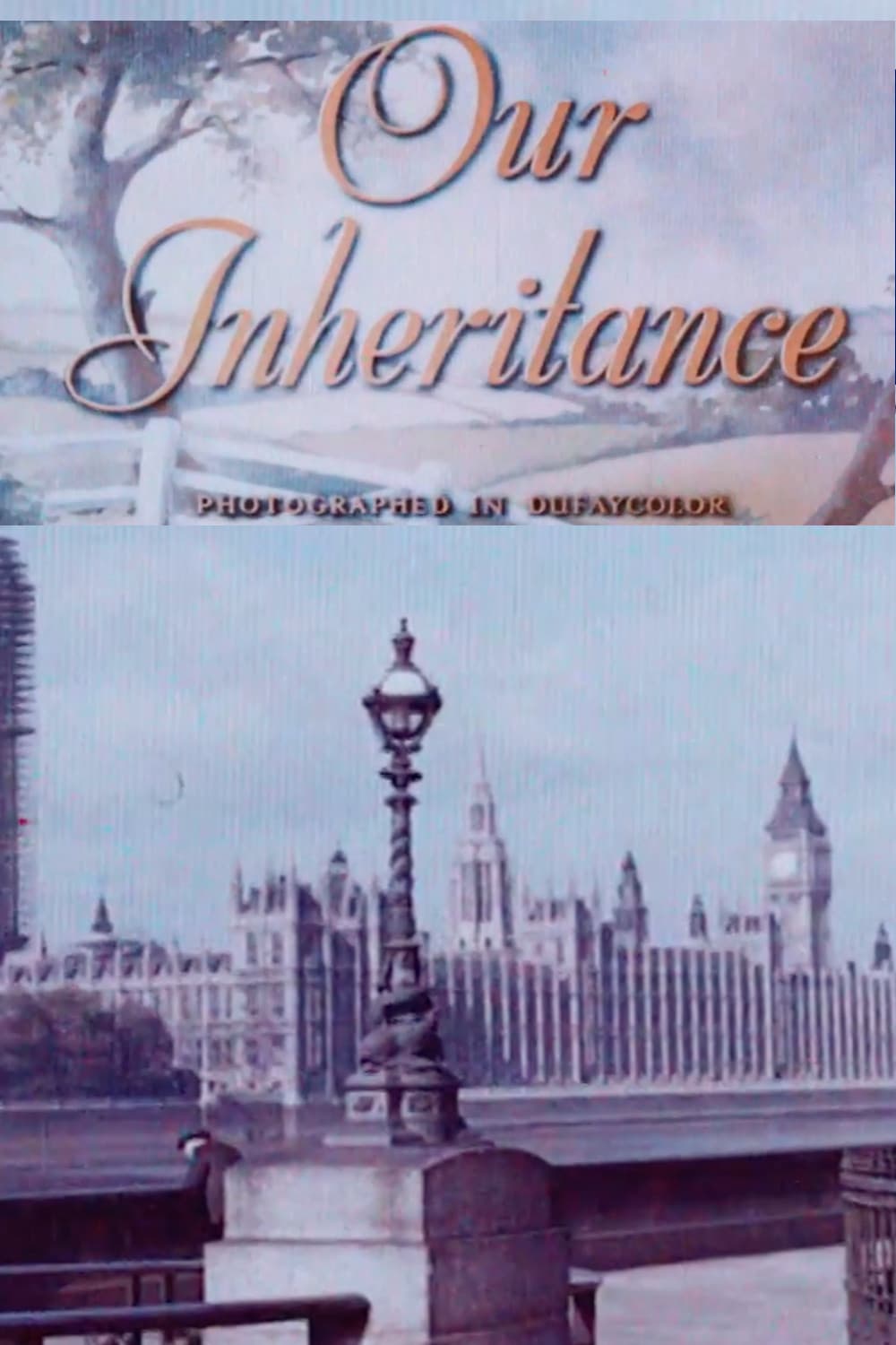 Our Inheritance