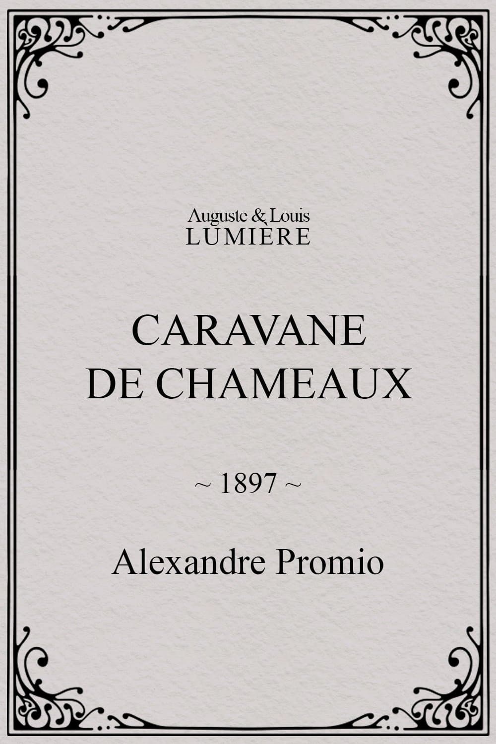 Caravane de chameaux