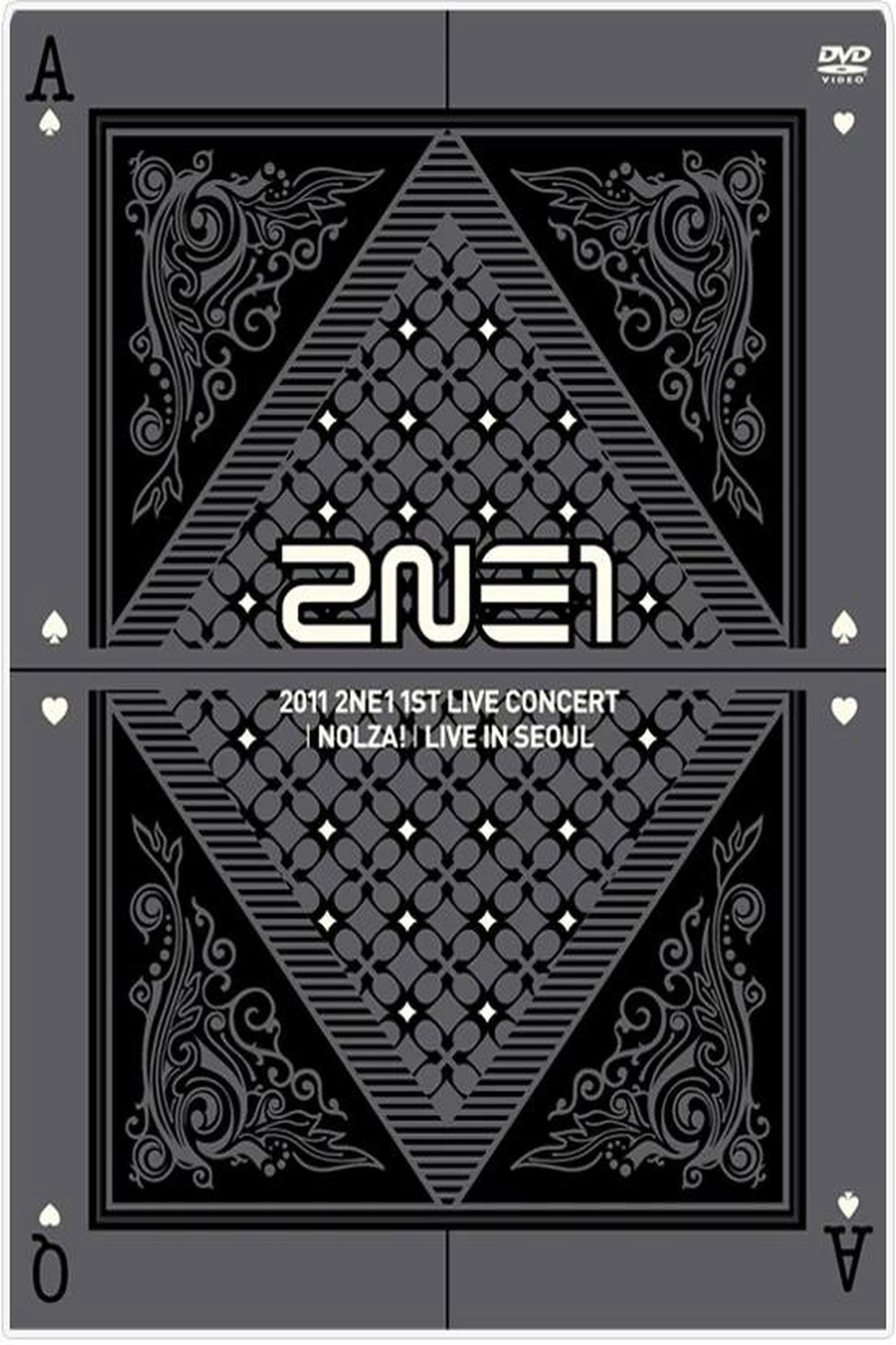 2NE1: 1st Live Concert NOLZA