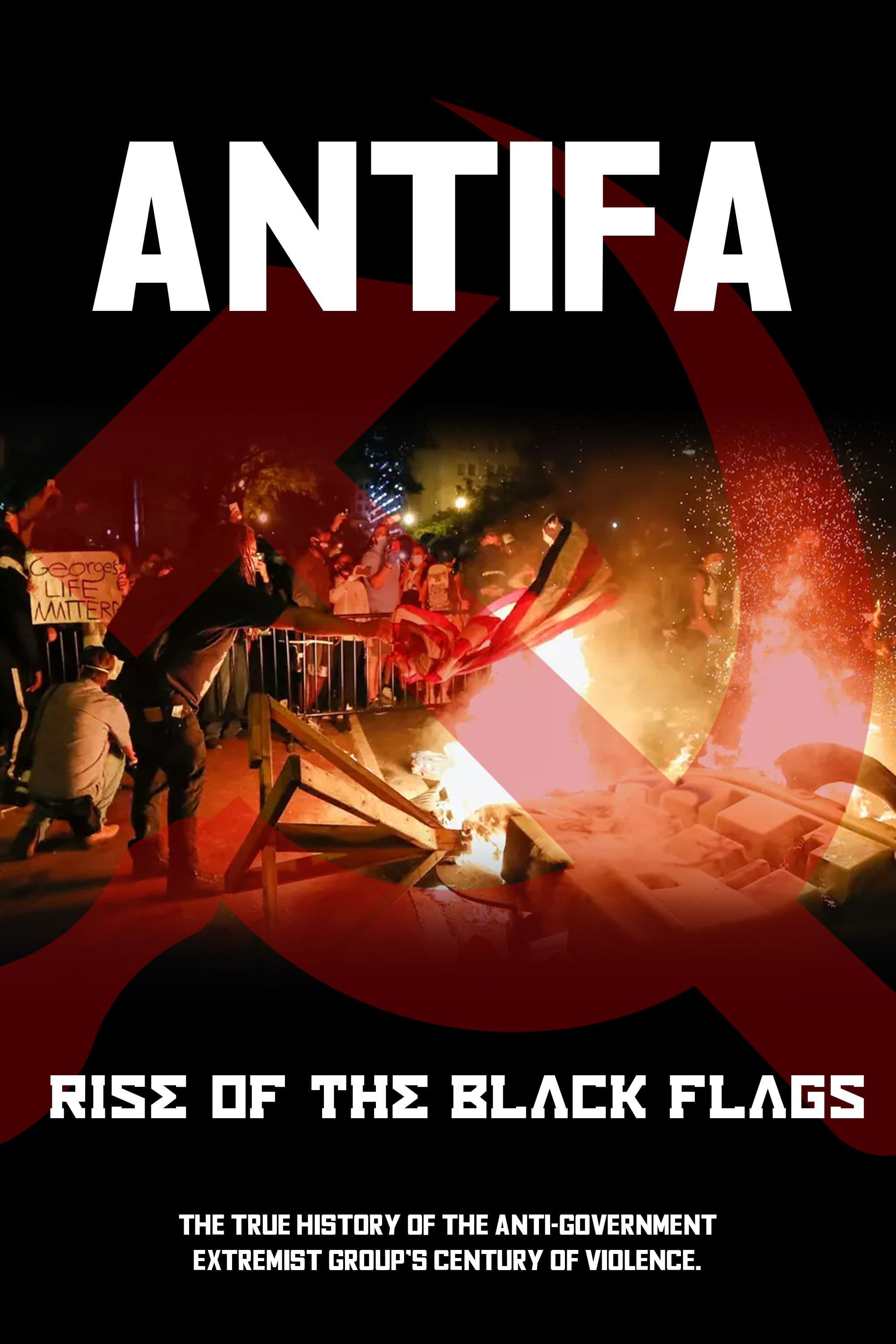 Antifa: Rise of the Black Flags