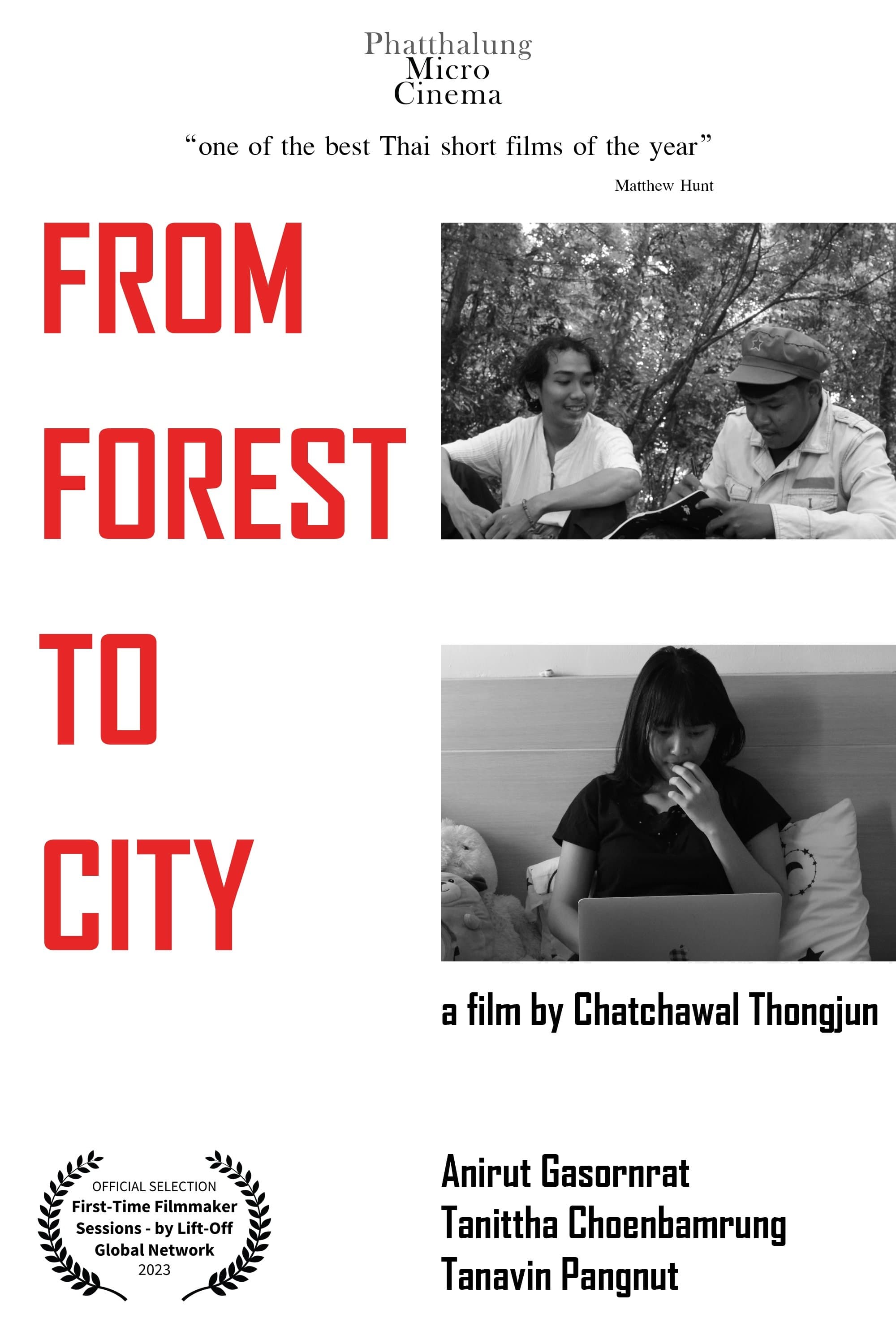 From Forest To City