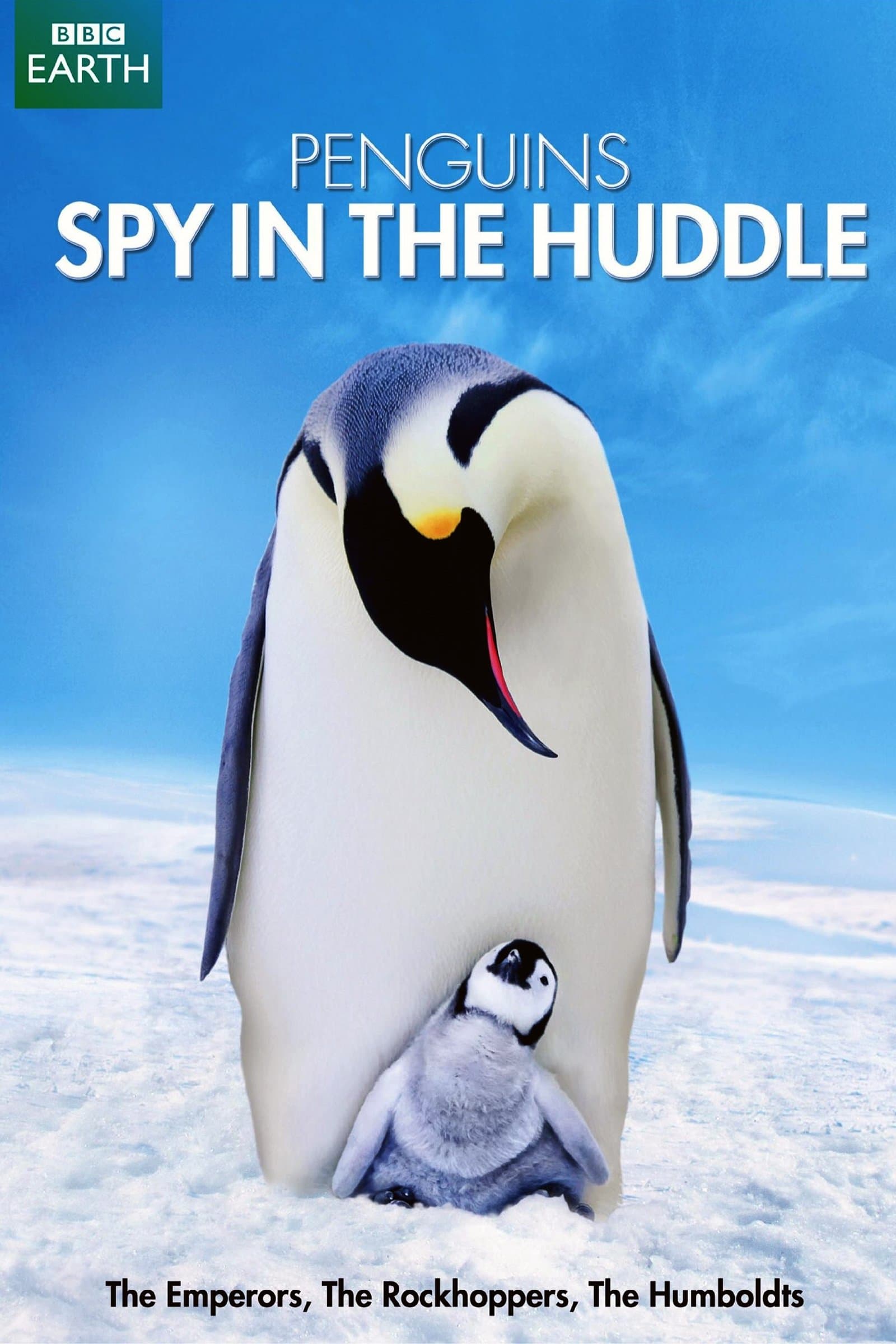 Penguins: Spy in the Huddle