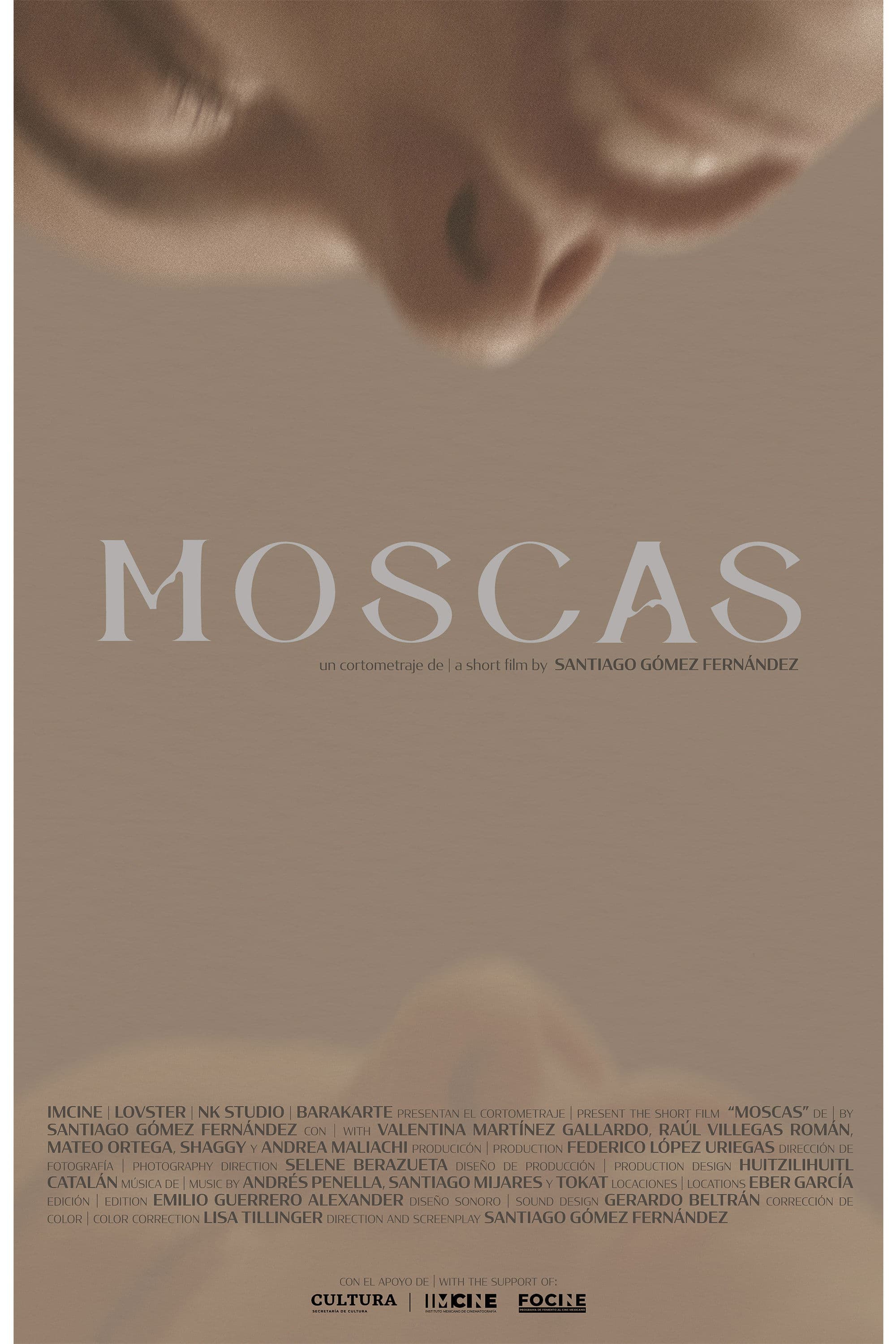 Moscas