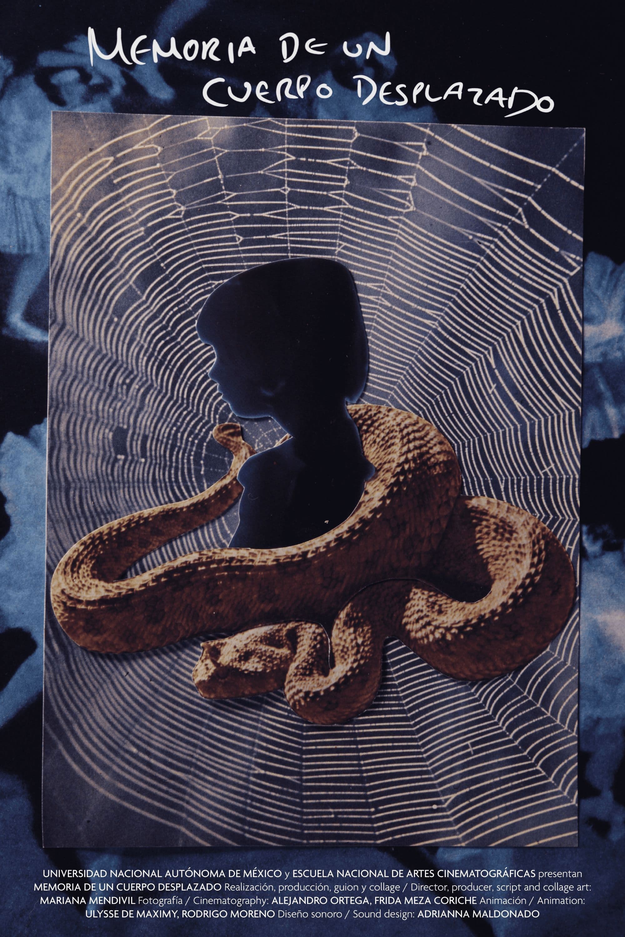 Memory of a Displaced Body