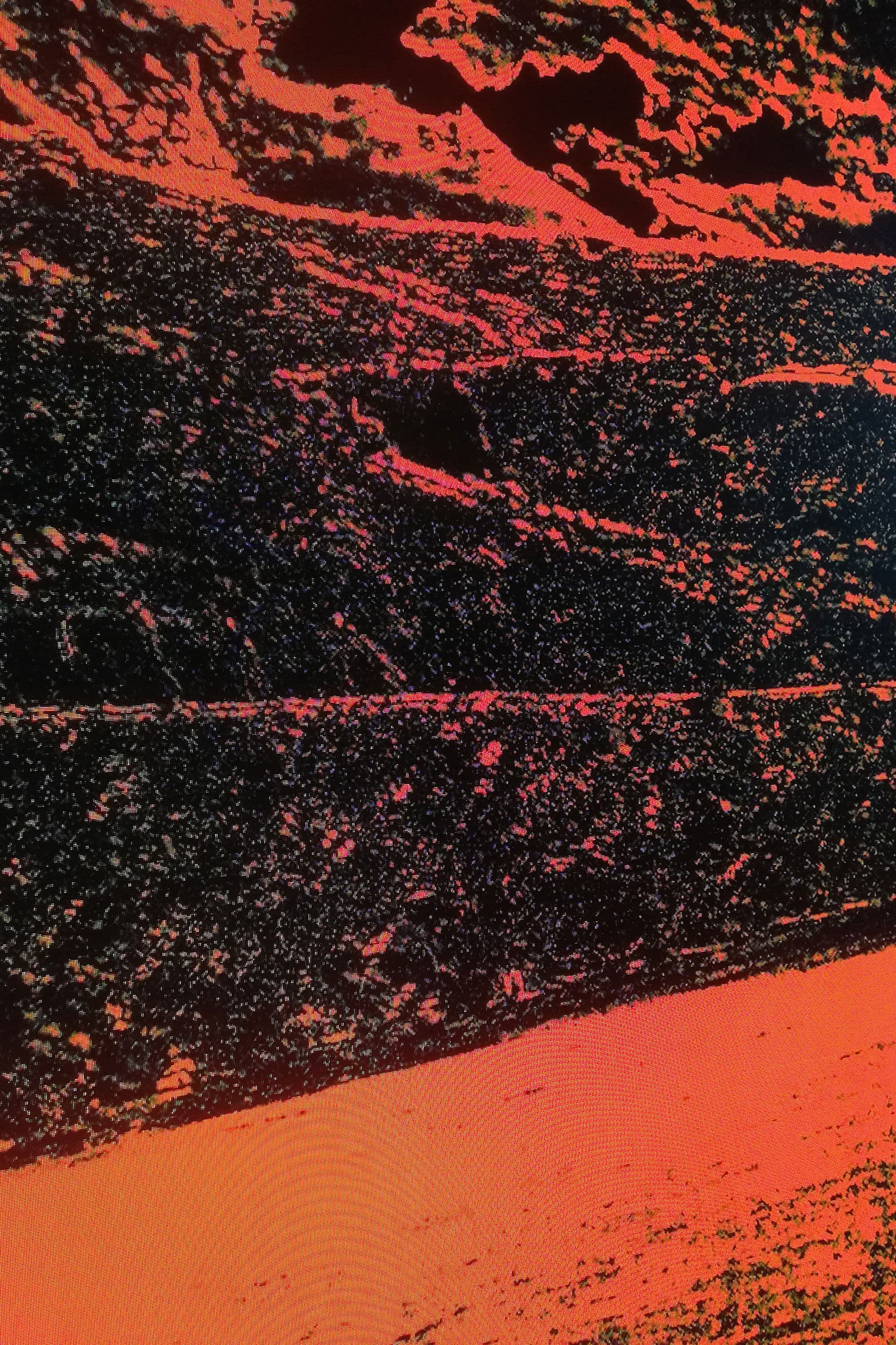 Demolition of a Wall (Album 2)