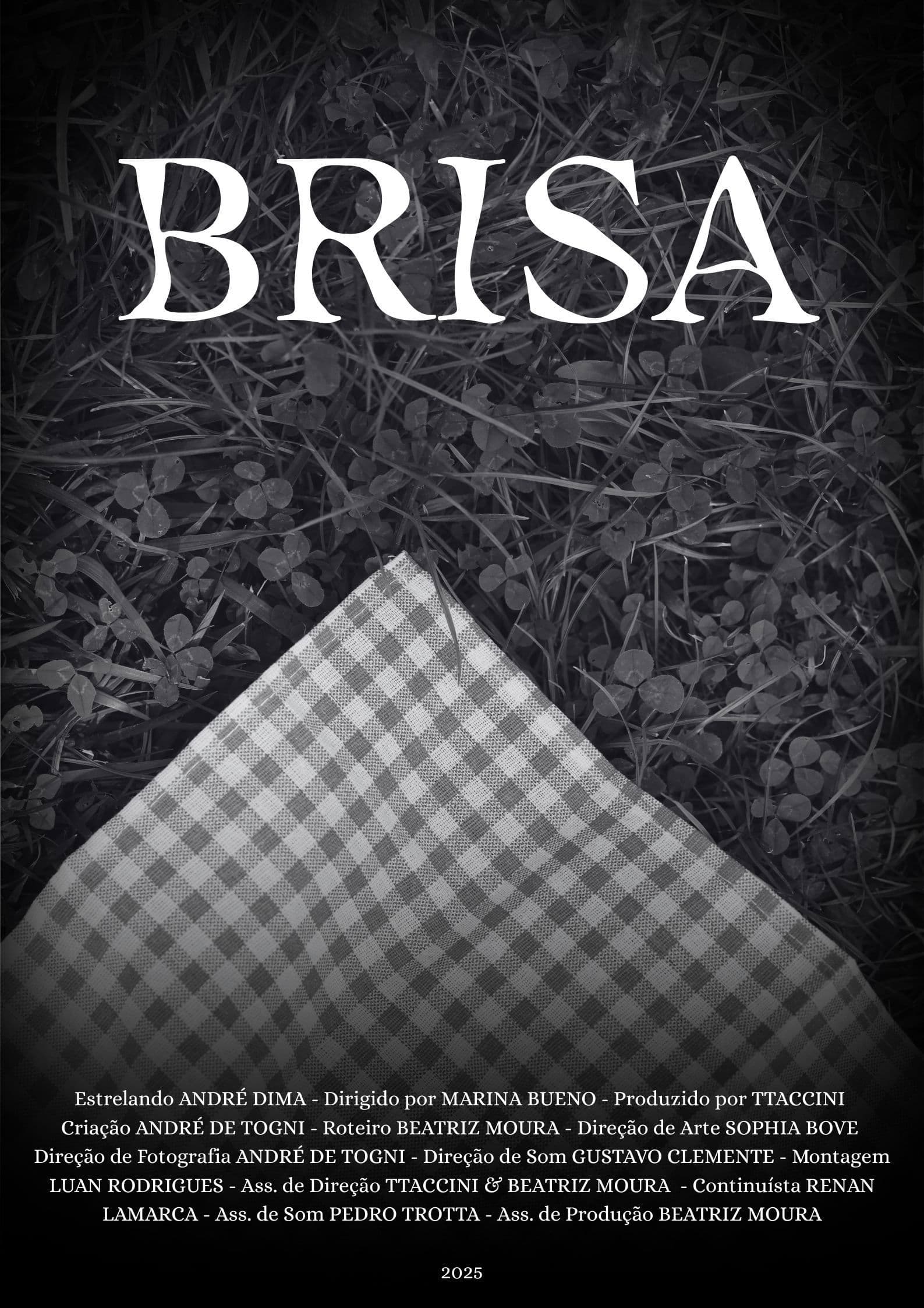Brisa