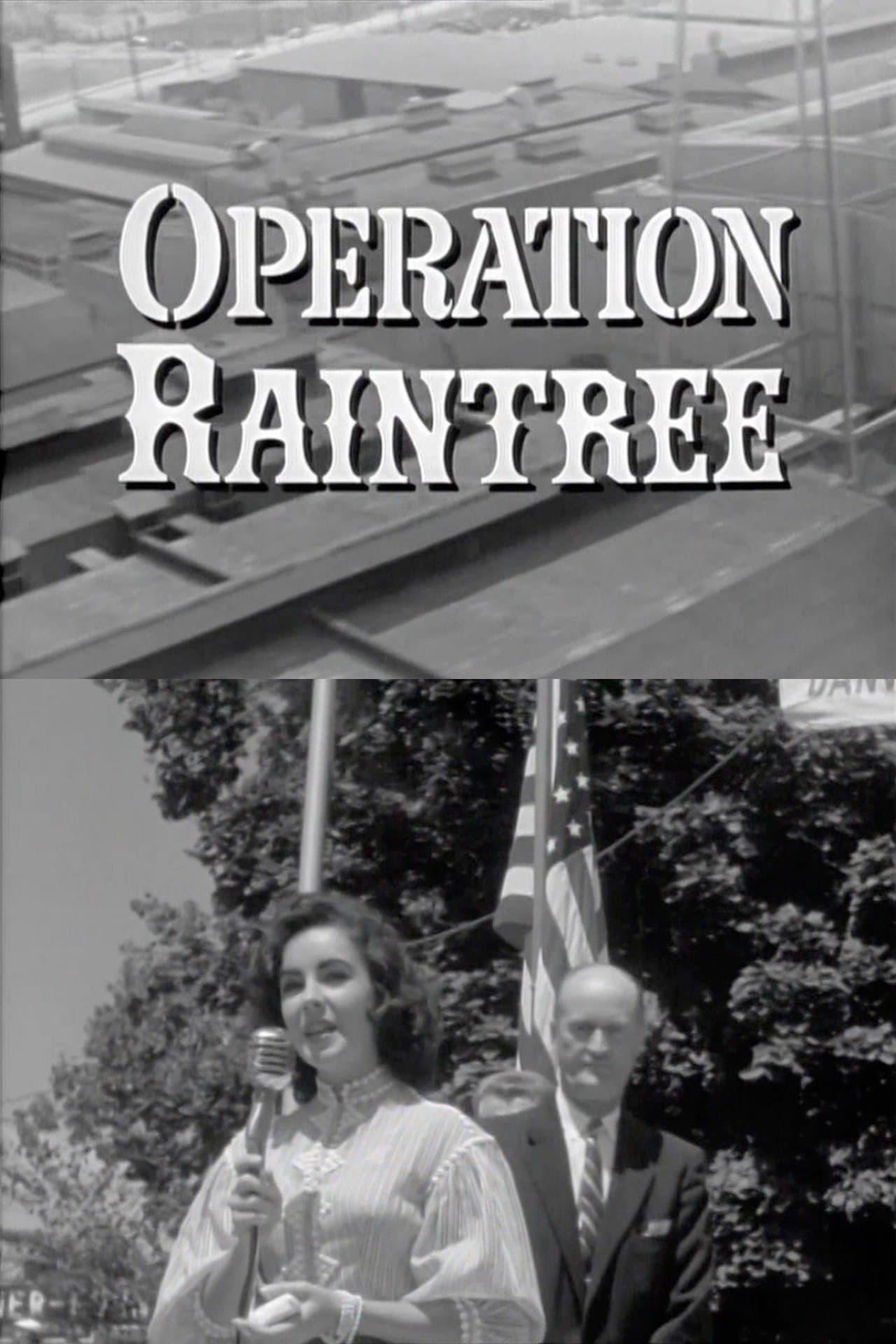 Operation Raintree
