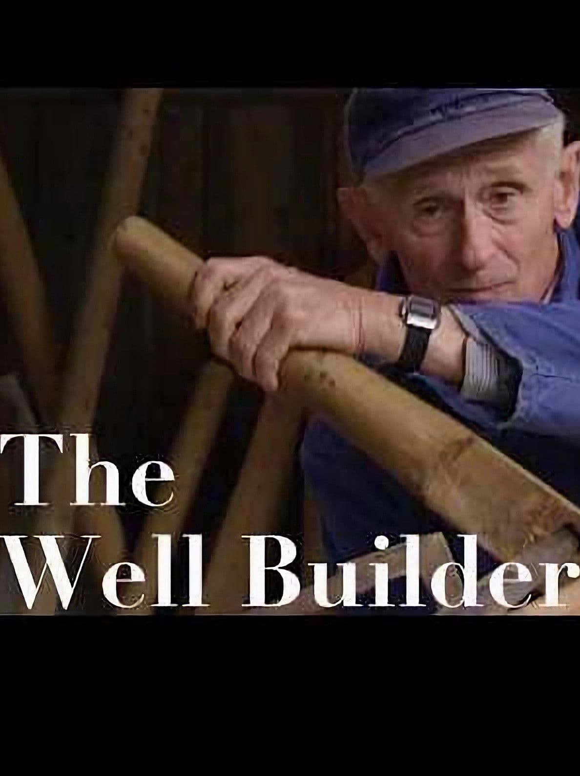 Old World Crafts: The Well Builder