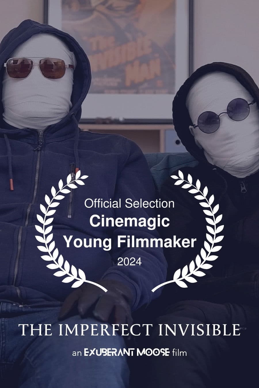 The Imperfect Invisible