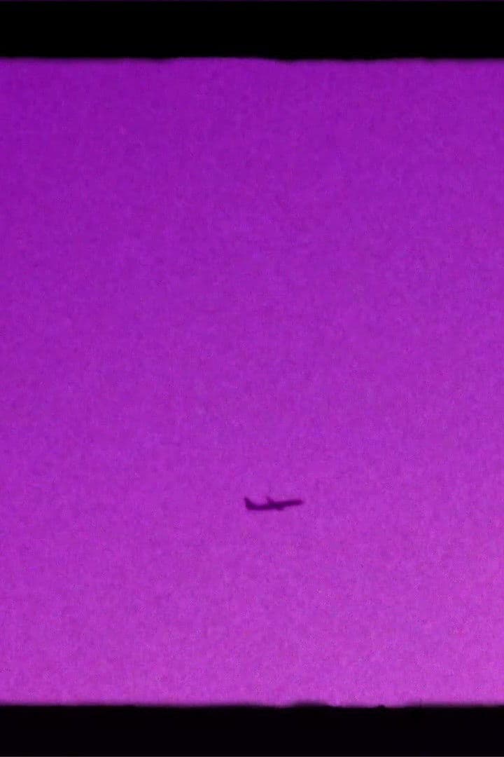 Shoegazer's Brown Eye Reverie