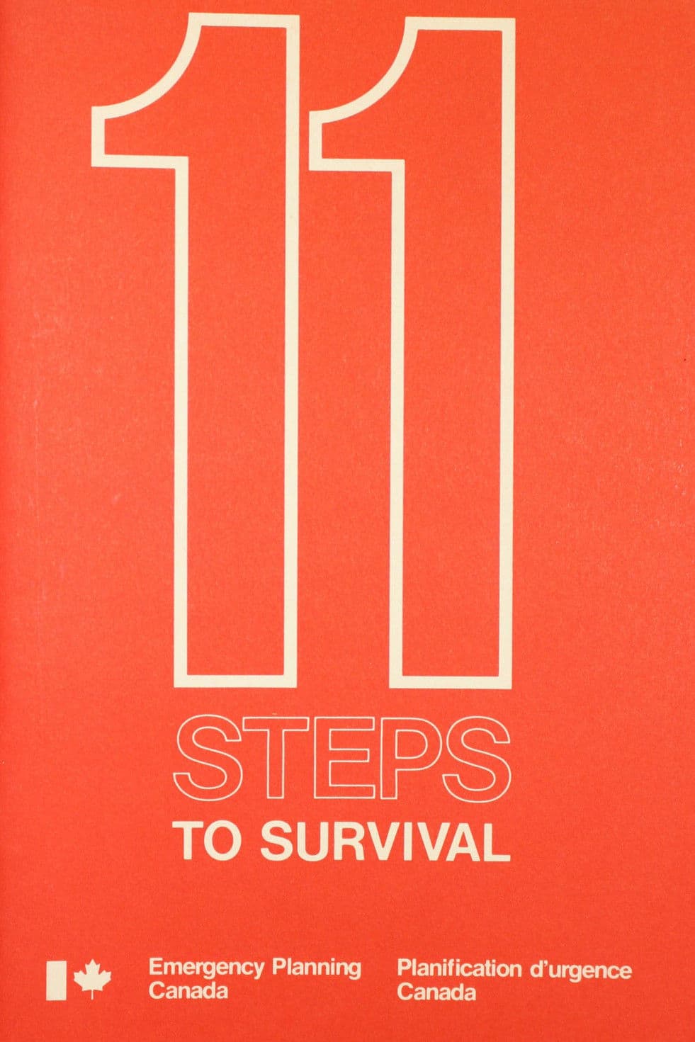 11 Steps to Survival