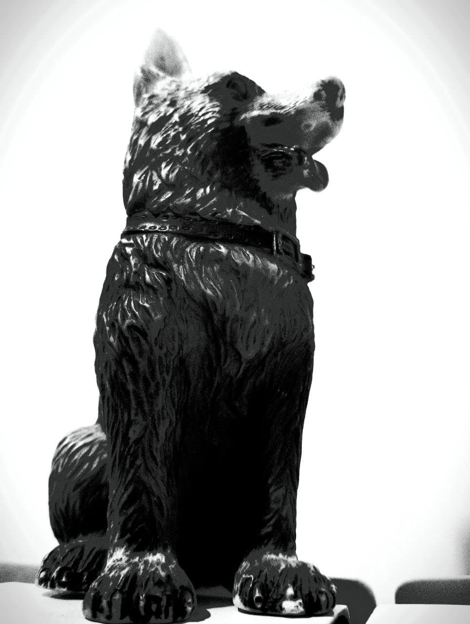 The Dog of Sarandi Alley